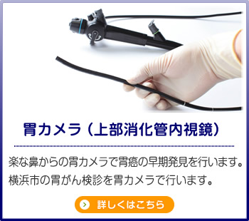 胃カメラ（上部消化管内視鏡）楽な鼻からの胃カメラで胃癌の早期発見を行います。横浜市の胃がん検診を胃カメラで行います。詳しくはこちら